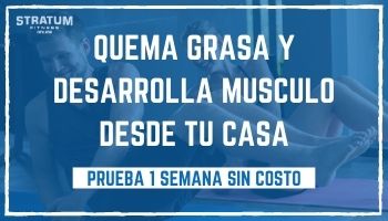 Stratum_Fitness_en_linea_QAD001