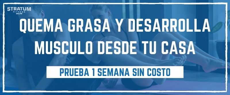 Stratum_Fitness_en_linea_WP001